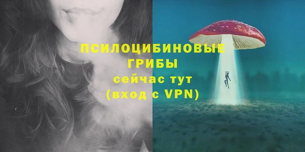 эйфоретик Алзамай