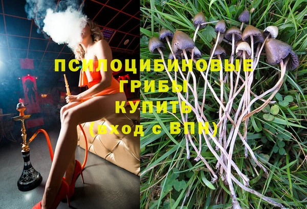 эйфоретик Алзамай