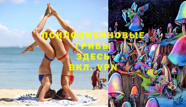 эйфоретик Алзамай